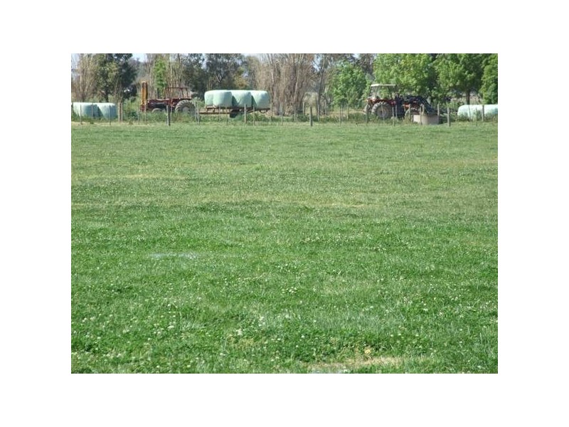 Tatura VIC 3616