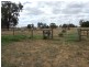 Murchison VIC 3610