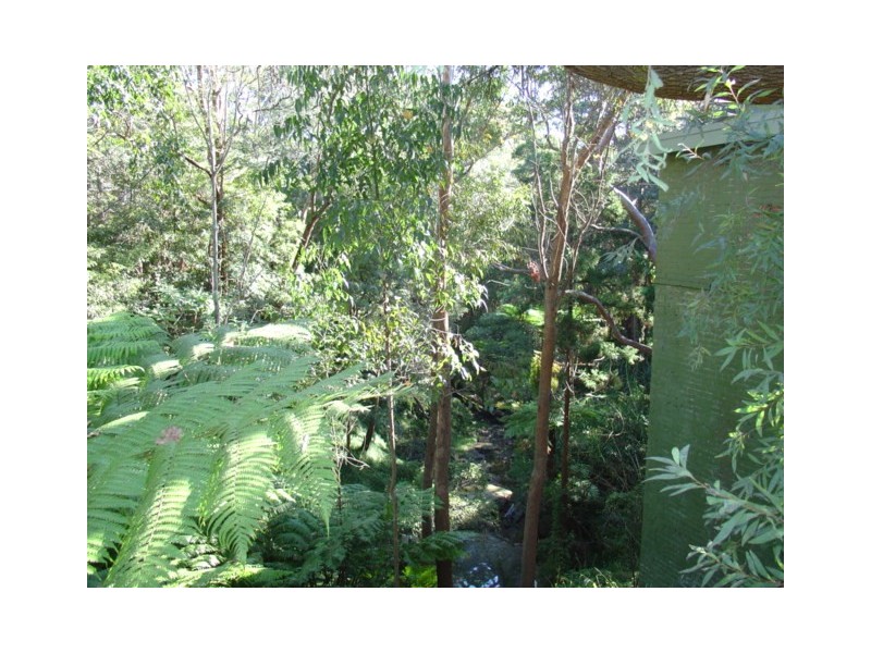 1/15 Centennial Avenue, Lane Cove NSW 2066