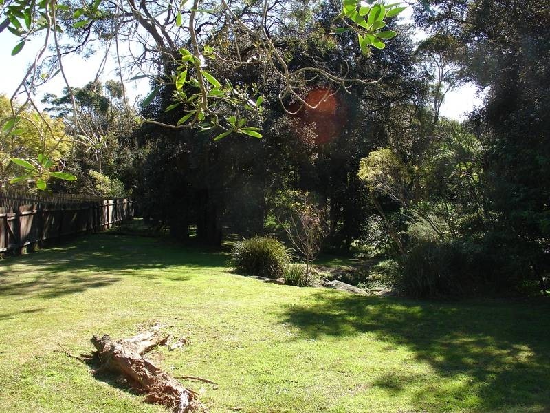 43 Hallam Avenue, Lane Cove NSW 2066
