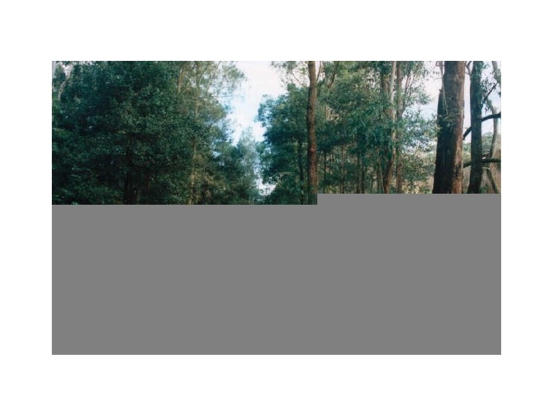 216/25 Best Street, Lane Cove NSW 2066