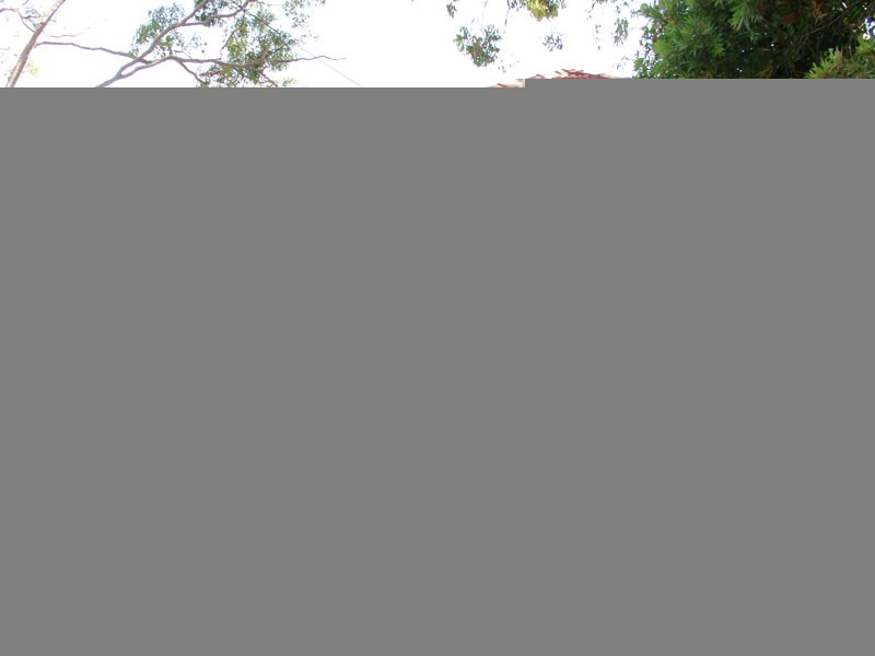 27 Carranya Road, Riverview NSW 2066