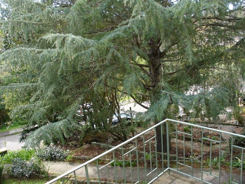 44 Moore Street, Lane Cove West NSW 2066
