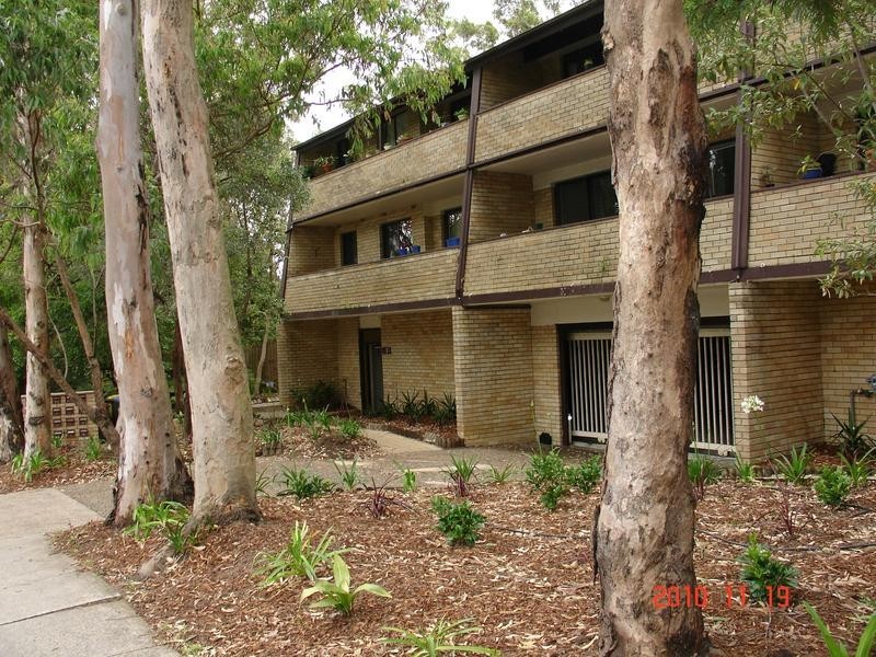 3/315 Burns Bay Road, Lane Cove NSW 2066