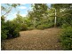 51 Gore Street GREENWICH, Lane Cove NSW 2066