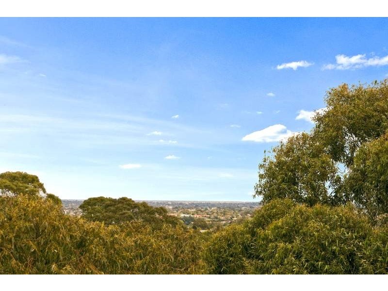 242 Pacific Highway, Lane Cove NSW 2066