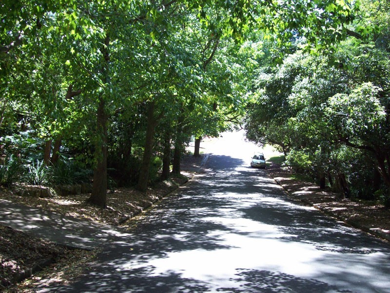 63 Osborne Road, Lane Cove NSW 2066