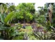 14 Tango Avenue, Dee Why NSW 2099