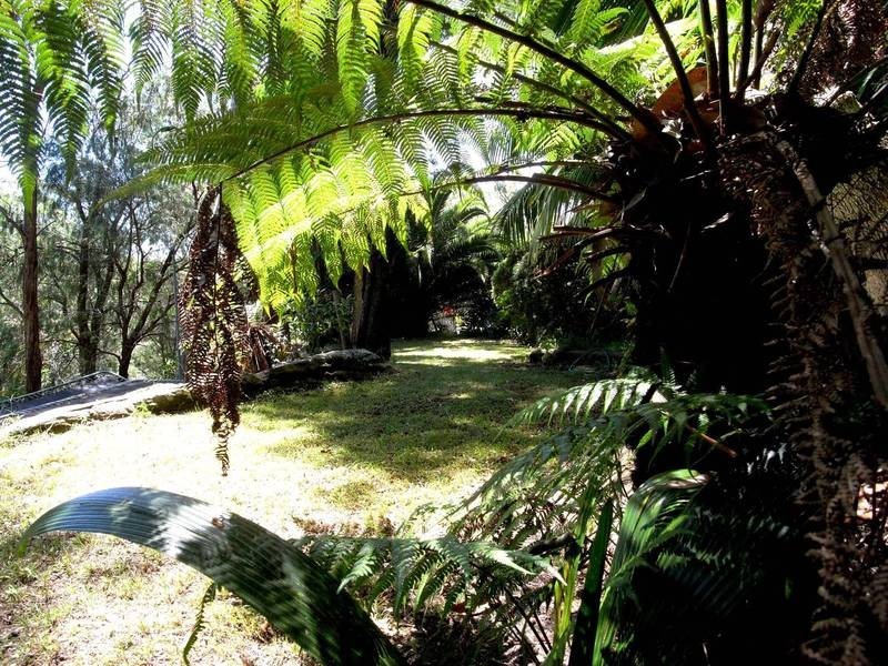 Collaroy Plateau NSW 2097