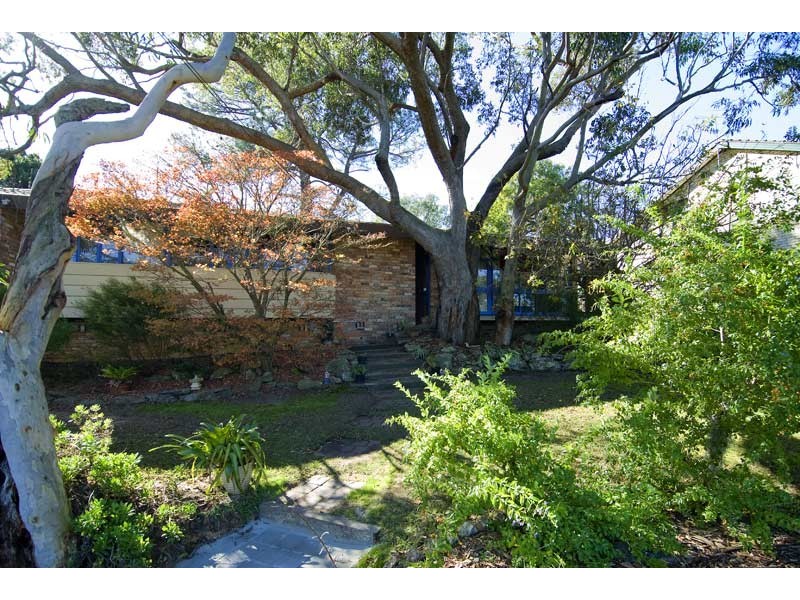 Wheeler Heights NSW 2097