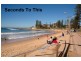 Dee Why NSW 2099