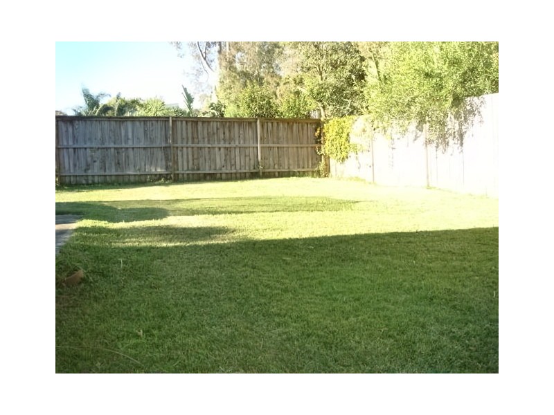 Wheeler Heights NSW 2097