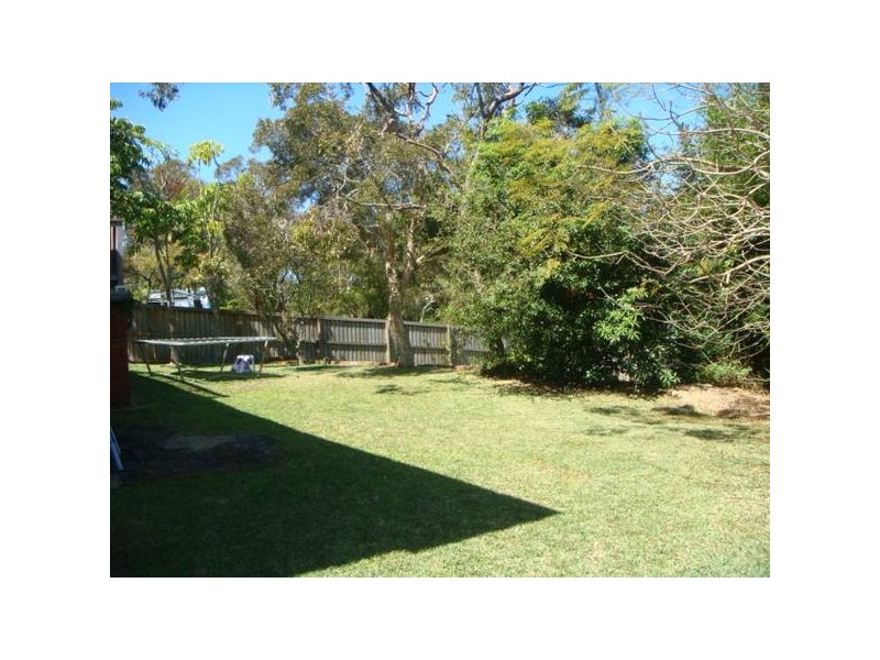 Wheeler Heights NSW 2097