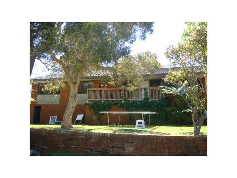 Wheeler Heights NSW 2097