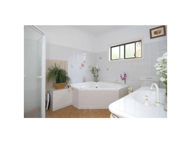 Wheeler Heights NSW 2097