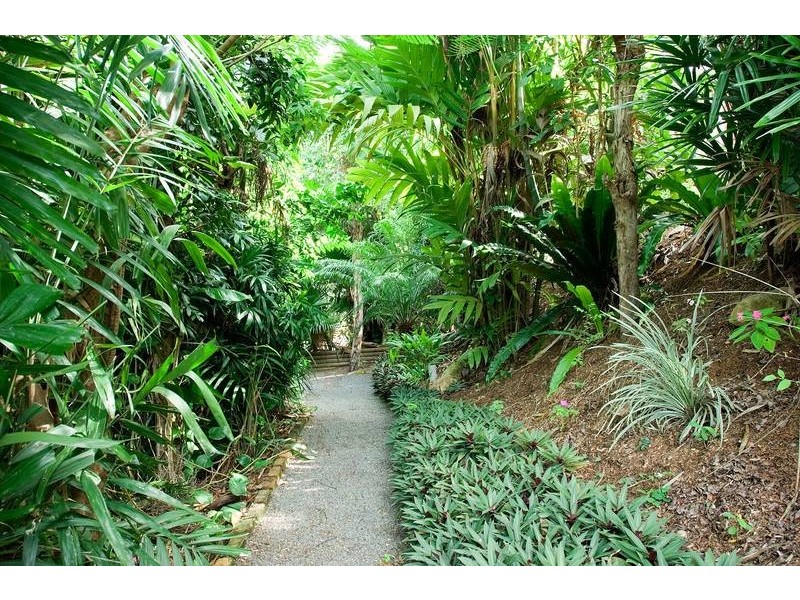 35 Ponticello Street, Whitfield QLD 4870