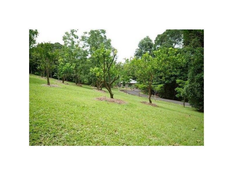 135 Stoney Creek Road, Kuranda QLD 4881