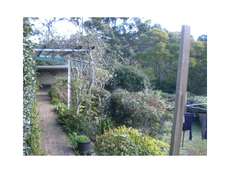 Bardwell Valley NSW 2207