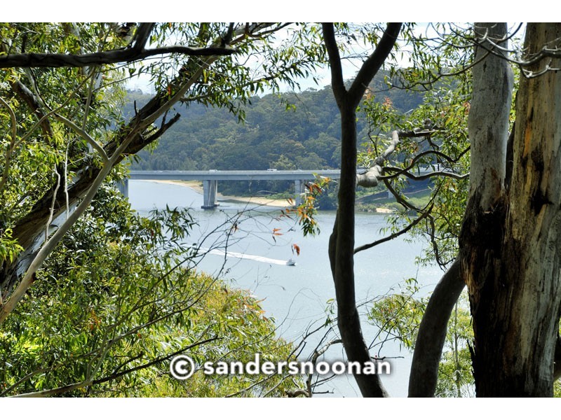 66 Renway Avenue, Lugarno NSW 2210