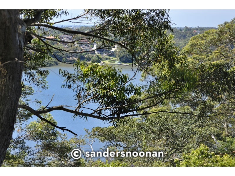 64 Renway Ave, Lugarno NSW 2210