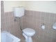 Ashfield NSW 2131