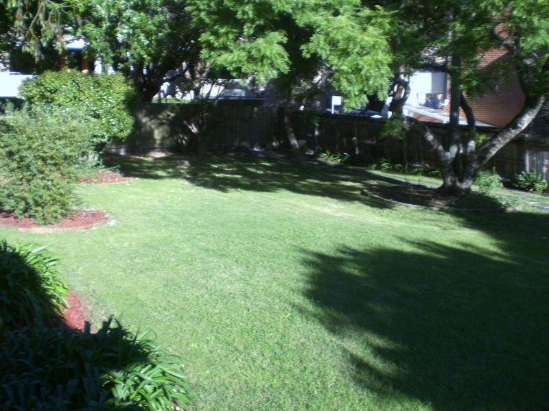 Ashfield NSW 2131