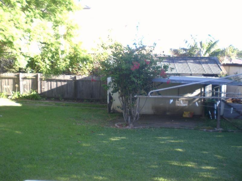 Ashfield NSW 2131