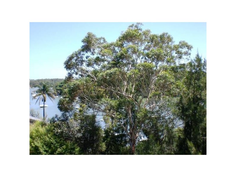 Hurstville Grove NSW 2220