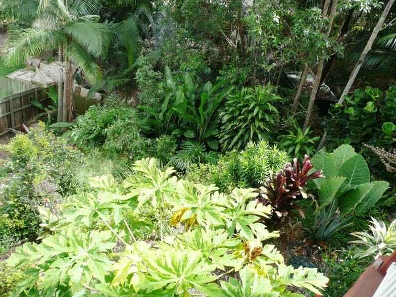 Murrumba Downs QLD 4503