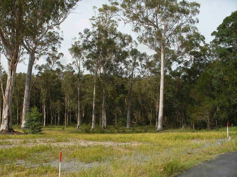 4 Corzac Street, Narangba QLD 4504