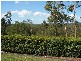 190a Dobson Road, Narangba QLD 4504