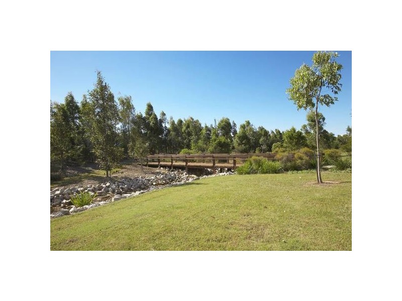 66 Tuckeroo Street, Narangba QLD 4504
