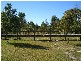 Narangba QLD 4504