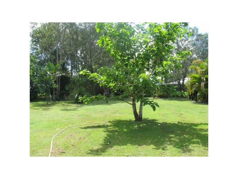 33 Morrison Street, Narangba QLD 4504