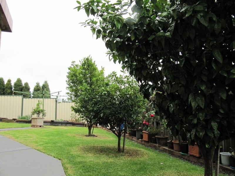 Hinchinbrook NSW 2168