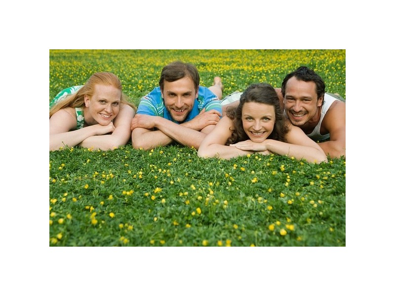 Hinchinbrook NSW 2168