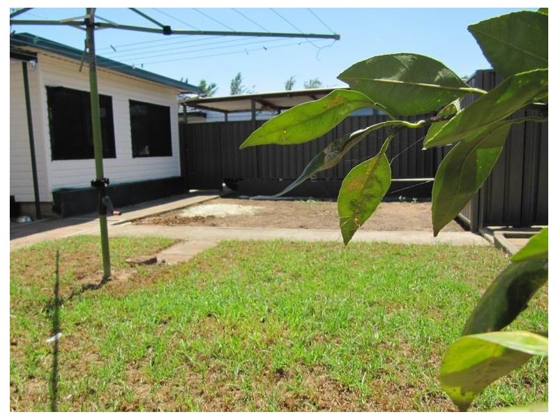 Mount Pritchard NSW 2170