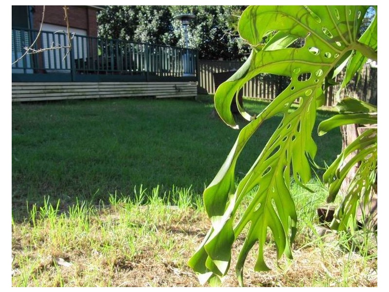 Mount Pritchard NSW 2170