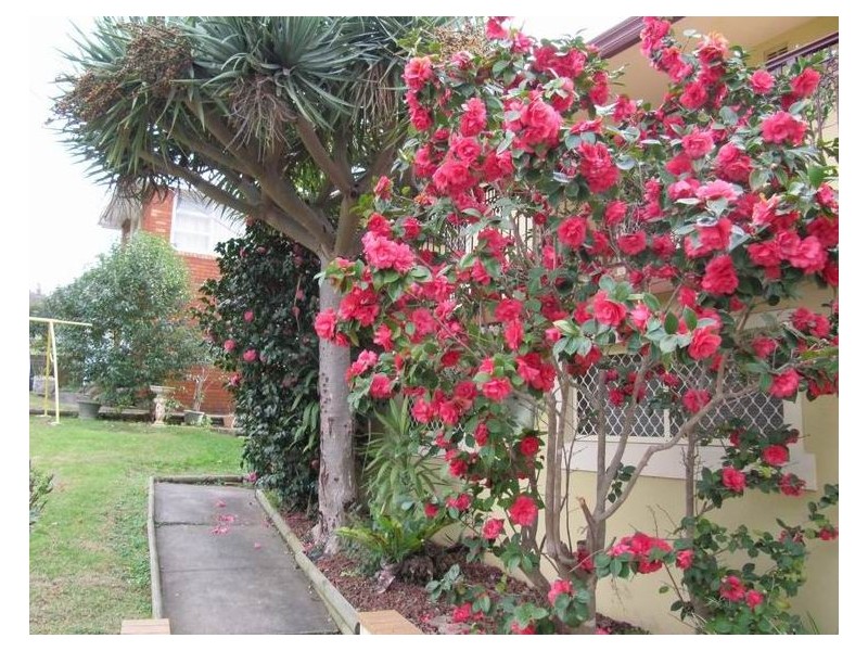 Mount Pritchard NSW 2170