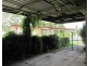 Heckenberg NSW 2168