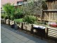 West Hoxton NSW 2171