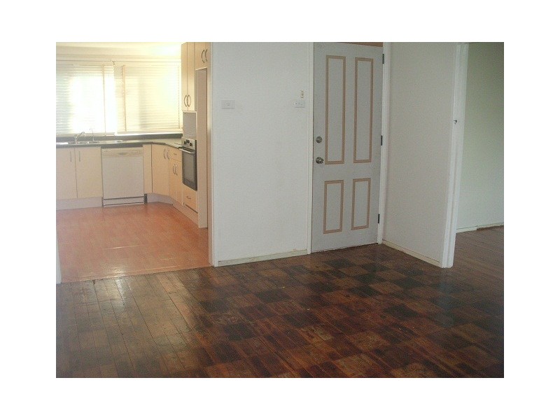 110 Anderson Avenue, Mount Pritchard NSW 2170