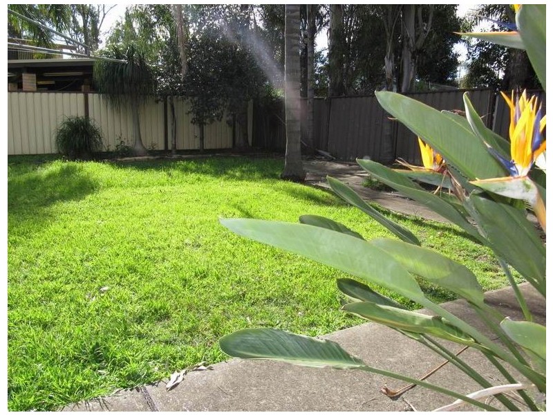 Busby NSW 2168