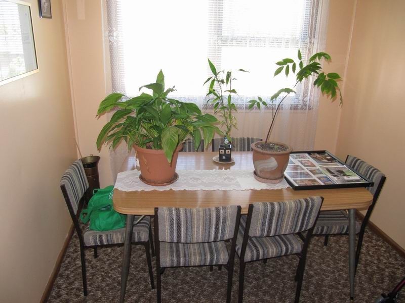 6 Tobys Blvde, Mount Pritchard NSW 2170