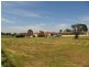 Hinchinbrook NSW 2168