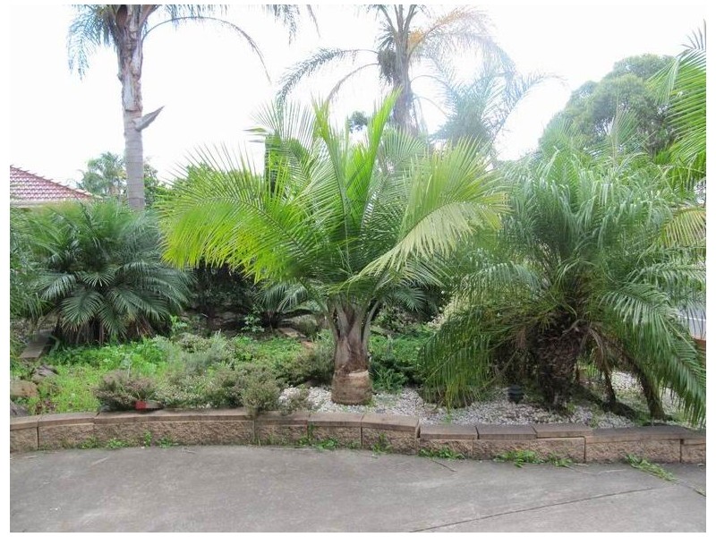 Green Valley NSW 2168