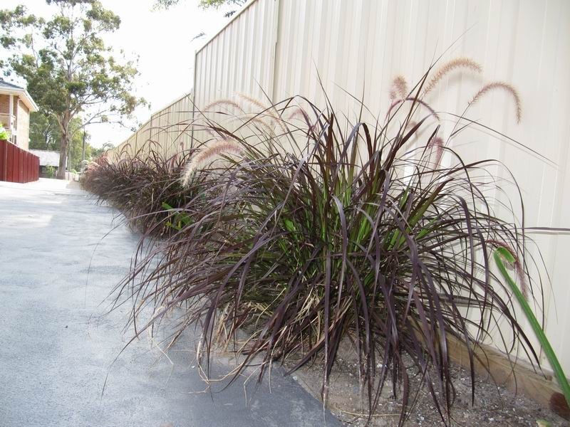 Mount Pritchard NSW 2170