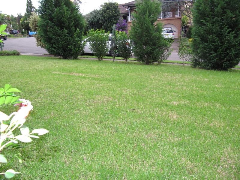 7 Bannister Place, Mount Pritchard NSW 2170