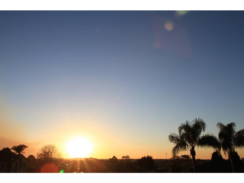 5 Buttercup Street, Macquarie Fields NSW 2564