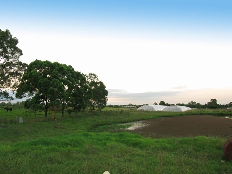 101a Robinson Rd, Bringelly NSW 2556